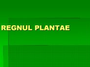 REGNUL PLANTAE
