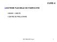 CURS 4 PowerPoint PPT Presentation