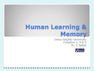Human Learning