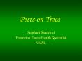 Pests on Trees PowerPoint PPT Presentation