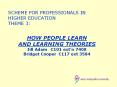 SCHEME FOR PROFESSIONALS IN HIGHER EDUCATION THEME 3: PowerPoint PPT Presentation