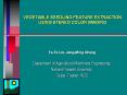 VEGETABLE SEEDLING FEATURE EXTRACTION USING STEREO COLOR IMAGING PowerPoint PPT Presentation