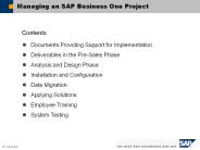 Managing an SAP Business One Project