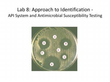 Lab 8: Approach to Identification -