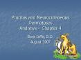 Pruritus and Neurocutaneous Dermatoses Andrews  PowerPoint PPT Presentation