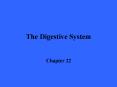 The Digestive System PowerPoint PPT Presentation