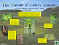 The Threat of Leafy Spurge PowerPoint PPT Presentation