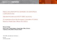 REDUCING REPORTING BURDEN ON   EUROPEAN CORPORATIONS