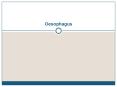 Oesophagus PowerPoint PPT Presentation