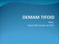 DEMAM TIFOID PowerPoint PPT Presentation