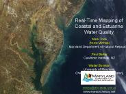 Real-Time Mapping of