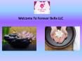Forever Bella LLC PowerPoint PPT Presentation