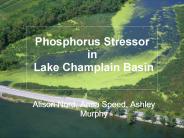 Phosphorus Stressor in Lake Champlain Basin