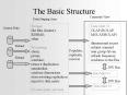 The Basic Structure PowerPoint PPT Presentation