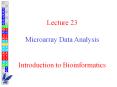 Lecture 23 Microarray Data Analysis  Introduction to Bioinformatics PowerPoint PPT Presentation