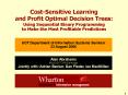 Cost-Sensitive Learning and Profit Optimal Decision Trees: Using Sequential Binary Programming to Make the Most Profitable Predictions PowerPoint PPT Presentation