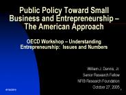 Public Policy Toward Small Business and Entrepreneurship 