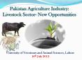 Pakistan Agriculture Industry: Livestock Sector- New Opportunities PowerPoint PPT Presentation