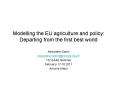 Modelling the EU agriculture and policy: Departing from the first best world PowerPoint PPT Presentation