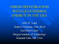 ONION DEHYDRATION WITH GEOTHERMAL ENERGY IN THE USA PowerPoint PPT Presentation