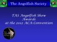 TAS Angelfish Show Awards at the 2012 ACA Convention PowerPoint PPT Presentation