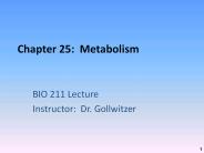 Chapter 25: Metabolism