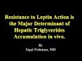 Resistance to Leptin Action is the Major Determinant of Hepatic Triglycerides Accumulation in vivo. PowerPoint PPT Presentation