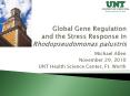 Global Gene Regulation and the Stress Response in Rhodopseudomonas palustris PowerPoint PPT Presentation