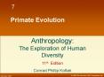 Primate Evolution PowerPoint PPT Presentation