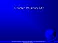 Chapter 19 Binary I/O PowerPoint PPT Presentation