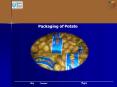 Packaging of Potato PowerPoint PPT Presentation