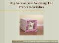 Dog Accessories to the people PowerPoint PPT Presentation