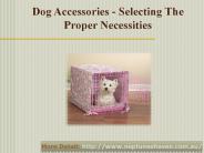 Dog Accessories to the people