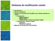 Sistemas de modificaci
