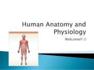 Human Anatomy and Physiology