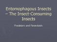 Entomophagous Insects  PowerPoint PPT Presentation