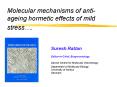 Molecular mechanisms of anti-ageing hormetic effects of mild stress PowerPoint PPT Presentation