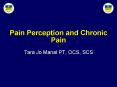 Pain Perception and Chronic Pain PowerPoint PPT Presentation