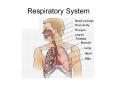 Respiratory System PowerPoint PPT Presentation
