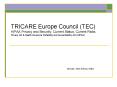 TRICARE Europe Council (TEC) HIPAA Privacy and Security: Current Status, Current Risks Privacy Act PowerPoint PPT Presentation