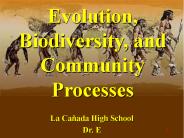 Evolution, Biodiversity, and Community Processes