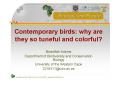 Contemporary birds: why are they so tuneful and colorful? PowerPoint PPT Presentation