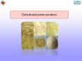 Dehydrated potato products PowerPoint PPT Presentation