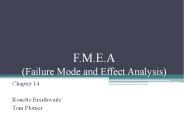 F.M.E.A  (Failure Mode and Effect Analysis)