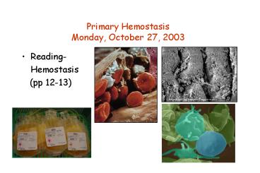 Primary Hemostasis Monday, October 27, 2003