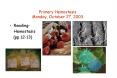 Primary Hemostasis Monday, October 27, 2003 PowerPoint PPT Presentation