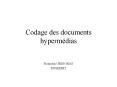 Codage des documents hyperm PowerPoint PPT Presentation