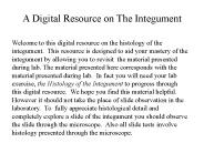 A Digital Resource on The Integument