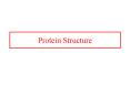 Protein Structure PowerPoint PPT Presentation