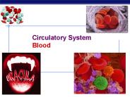 Circulatory System Blood